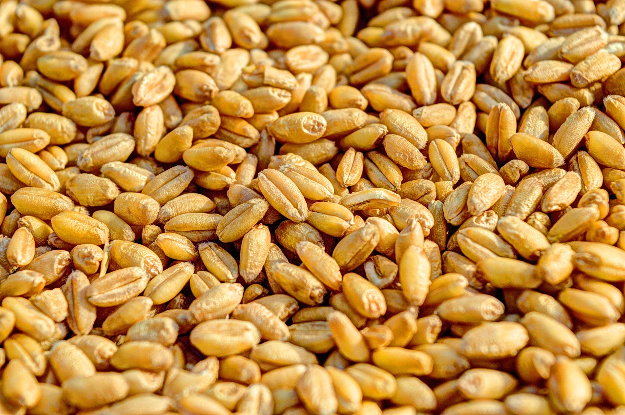 Essential Eco-Friendly Farm Survival Tips